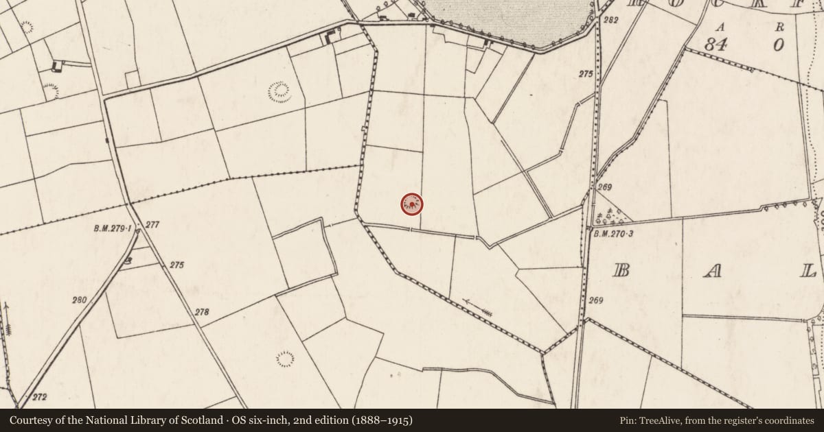 Ordnance Survey six-inch map, 2nd edition (1888–1915) covering the location of Ringfort - rath, Caherline, County Limerick, with a pin at the register's coordinates