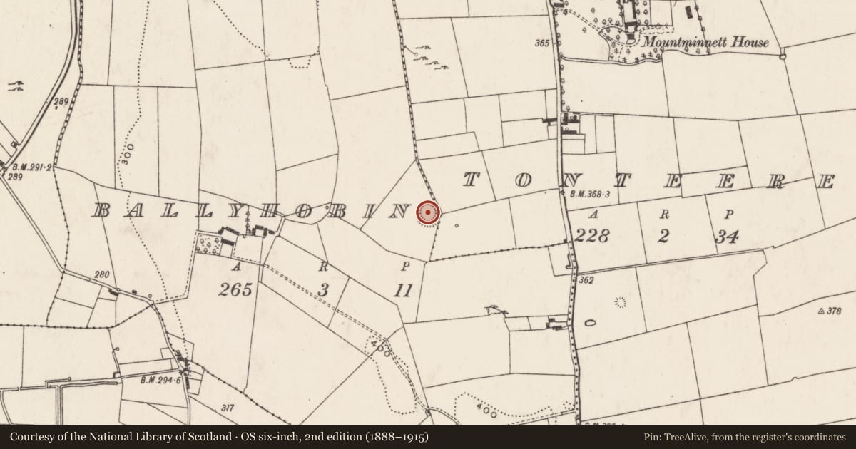 Ordnance Survey six-inch map, 2nd edition (1888–1915) covering the location of Ringfort - rath, Ballyhobin, County Limerick, with a pin at the register's coordinates