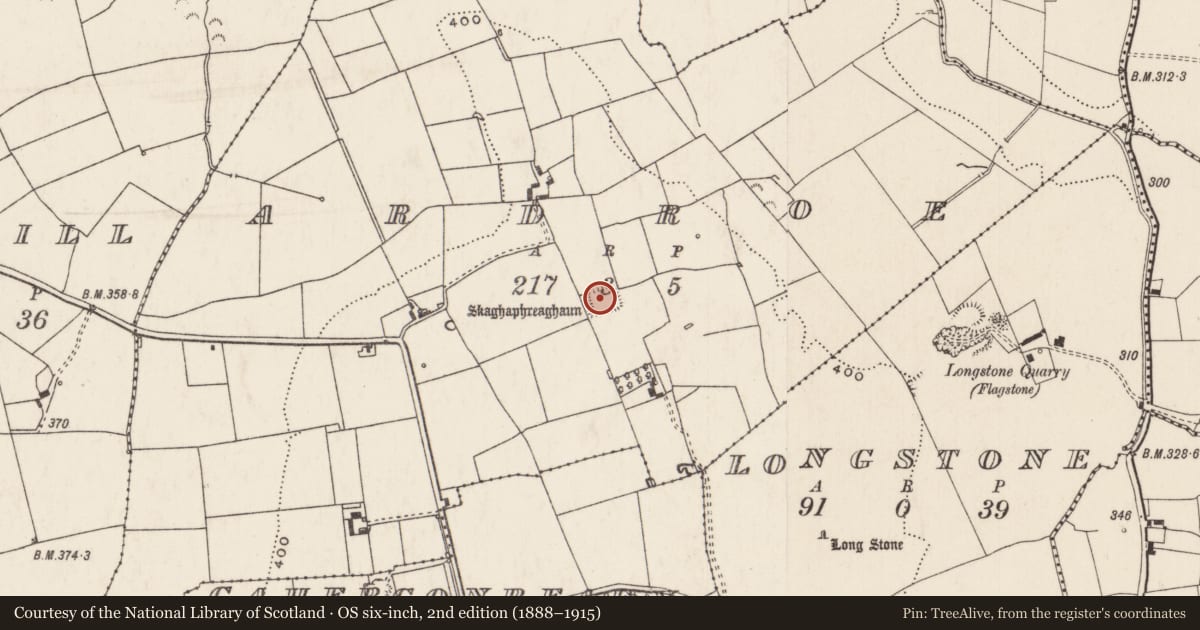 Ordnance Survey six-inch map, 2nd edition (1888–1915) covering the location of Moated site, Ardroe, County Limerick, with a pin at the register's coordinates