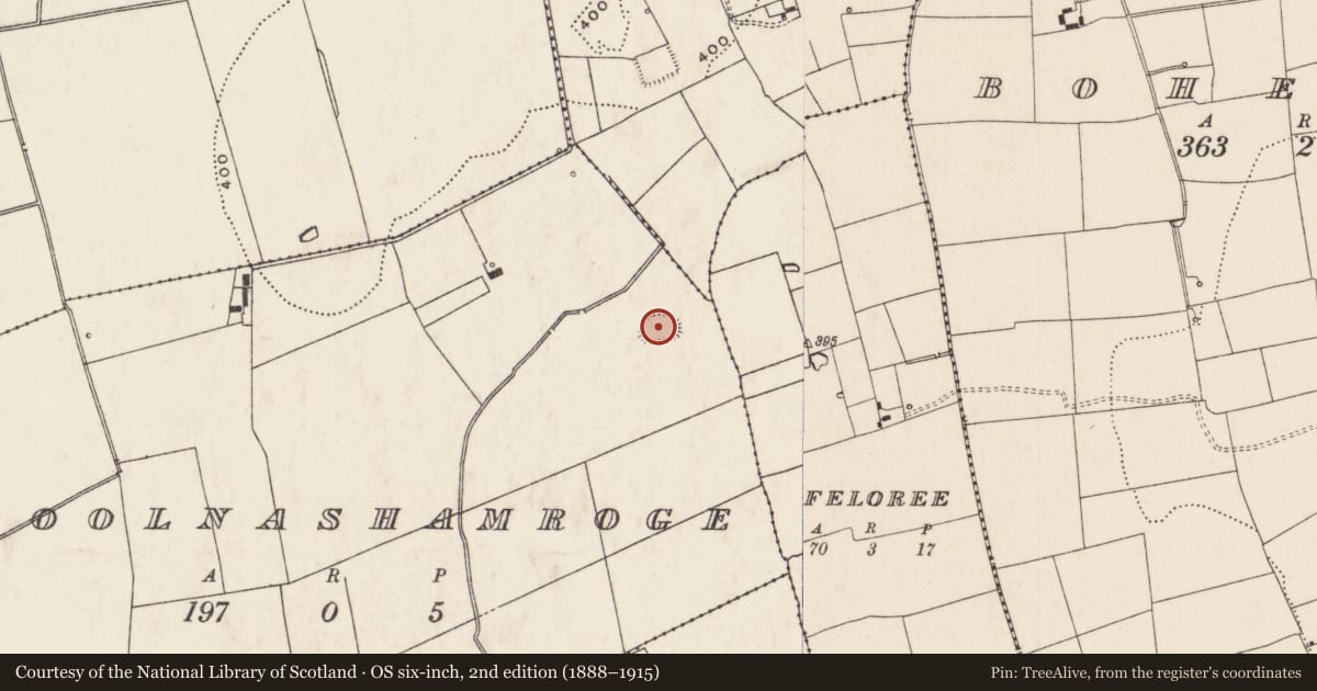 Ordnance Survey six-inch map, 2nd edition (1888–1915) covering the location of Enclosure, Coolnashamroge, County Limerick, with a pin at the register's coordinates