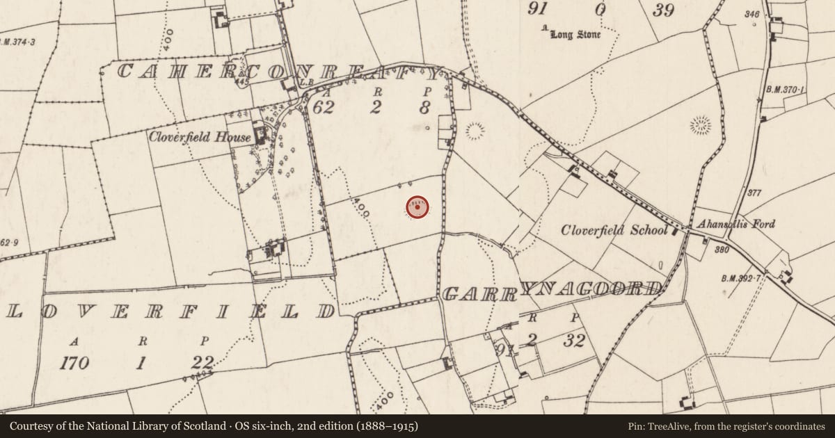 Ordnance Survey six-inch map, 2nd edition (1888–1915) covering the location of Moated site, Caherconreafy, County Limerick, with a pin at the register's coordinates