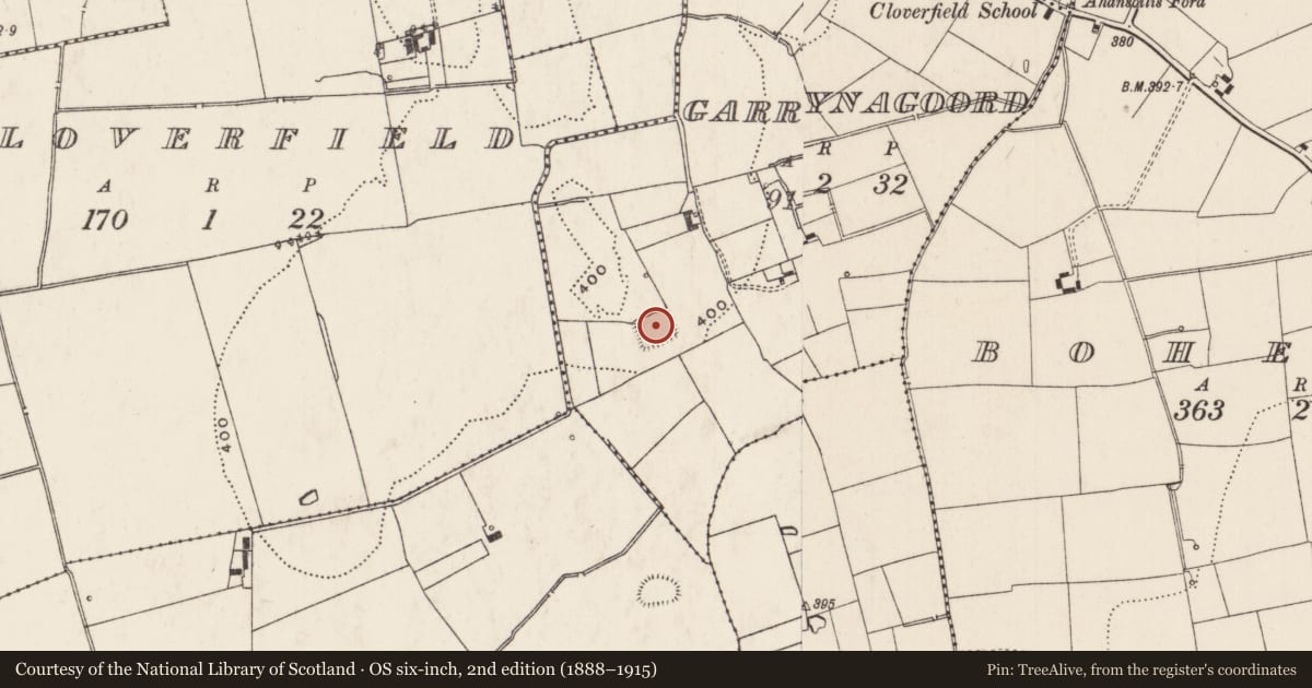 Ordnance Survey six-inch map, 2nd edition (1888–1915) covering the location of Moated site, Garrynagoord, County Limerick, with a pin at the register's coordinates