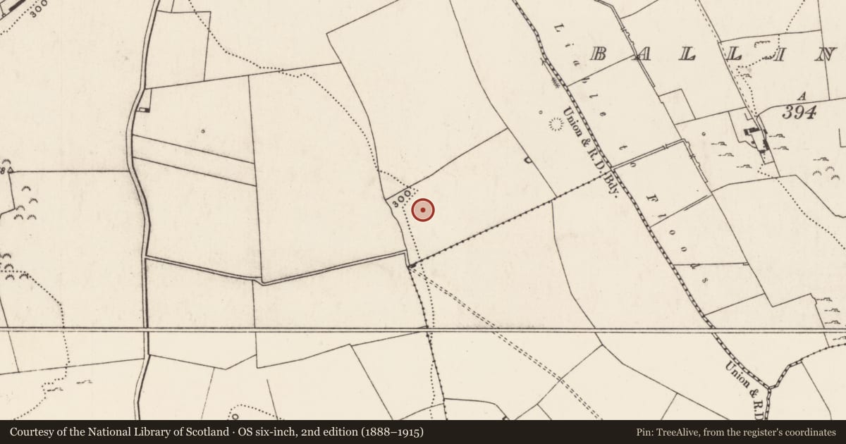 Ordnance Survey six-inch map, 2nd edition (1888–1915) covering the location of Earthwork, Grange, County Limerick, with a pin at the register's coordinates