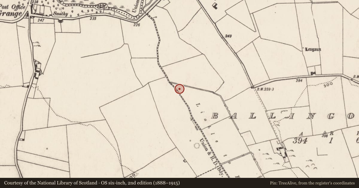 Ordnance Survey six-inch map, 2nd edition (1888–1915) covering the location of House - indeterminate date, Ballingoola, County Limerick, with a pin at the register's coordinates