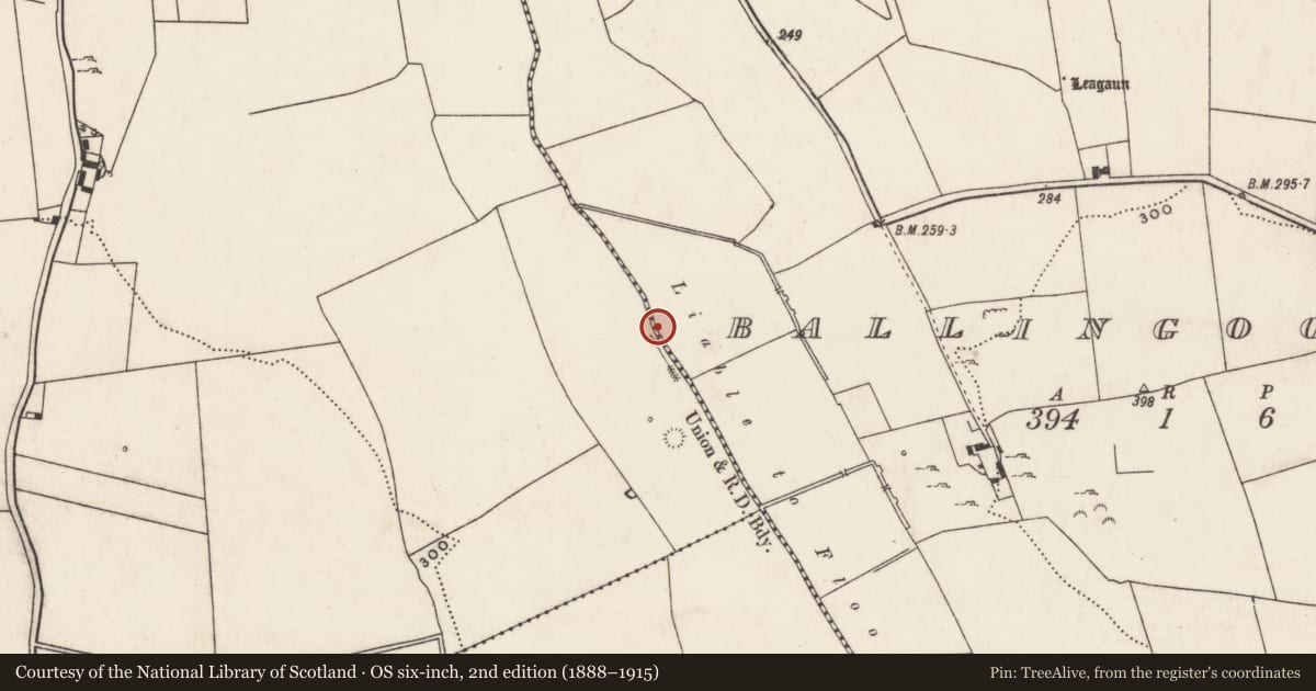 Ordnance Survey six-inch map, 2nd edition (1888–1915) covering the location of Barrow - ring-barrow, Ballingoola, County Limerick, with a pin at the register's coordinates
