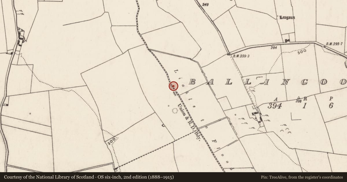 Ordnance Survey six-inch map, 2nd edition (1888–1915) covering the location of Barrow - ring-barrow, Ballingoola, County Limerick, with a pin at the register's coordinates