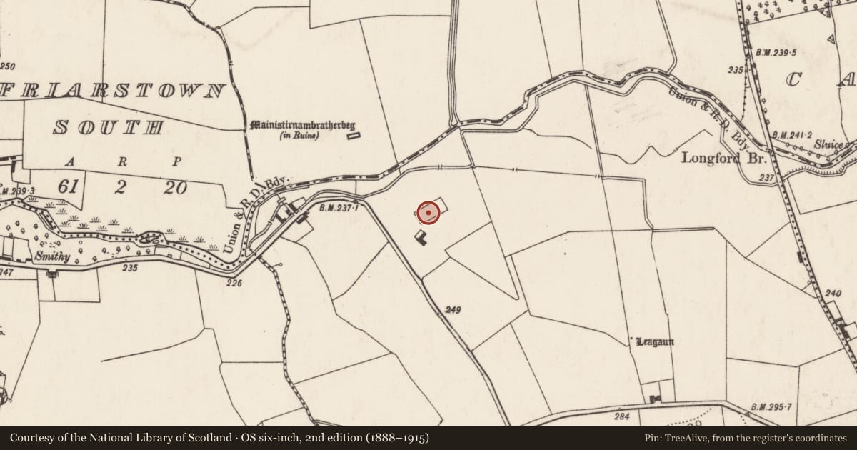 Ordnance Survey six-inch map, 2nd edition (1888–1915) covering the location of Designed landscape feature, Ballingoola, County Limerick, with a pin at the register's coordinates