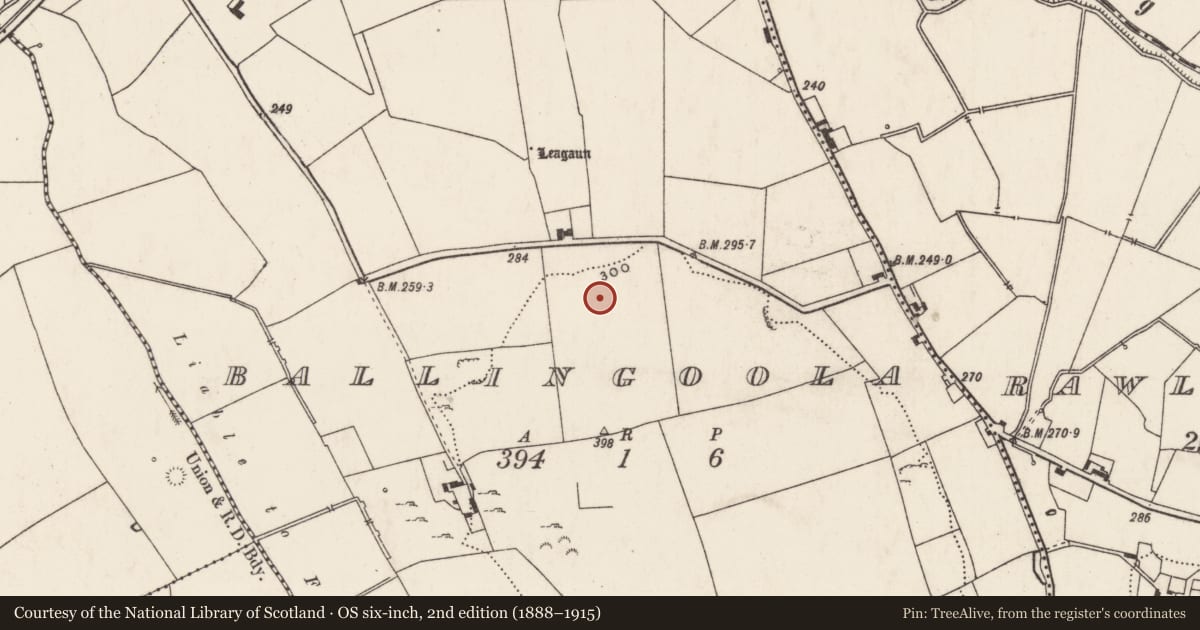 Ordnance Survey six-inch map, 2nd edition (1888–1915) covering the location of Standing stone, Ballingoola, County Limerick, with a pin at the register's coordinates