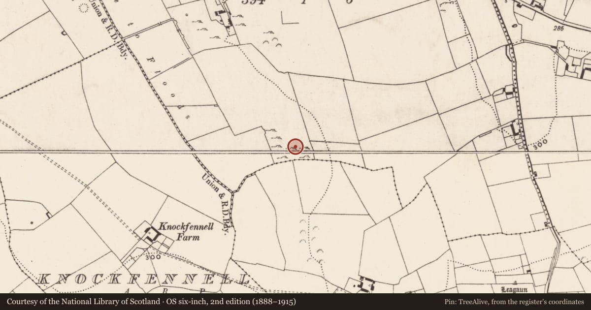 Ordnance Survey six-inch map, 2nd edition (1888–1915) covering the location of Standing stone, Ballingoola, County Limerick, with a pin at the register's coordinates