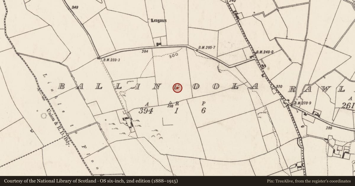 Ordnance Survey six-inch map, 2nd edition (1888–1915) covering the location of Standing stone, Ballingoola, County Limerick, with a pin at the register's coordinates