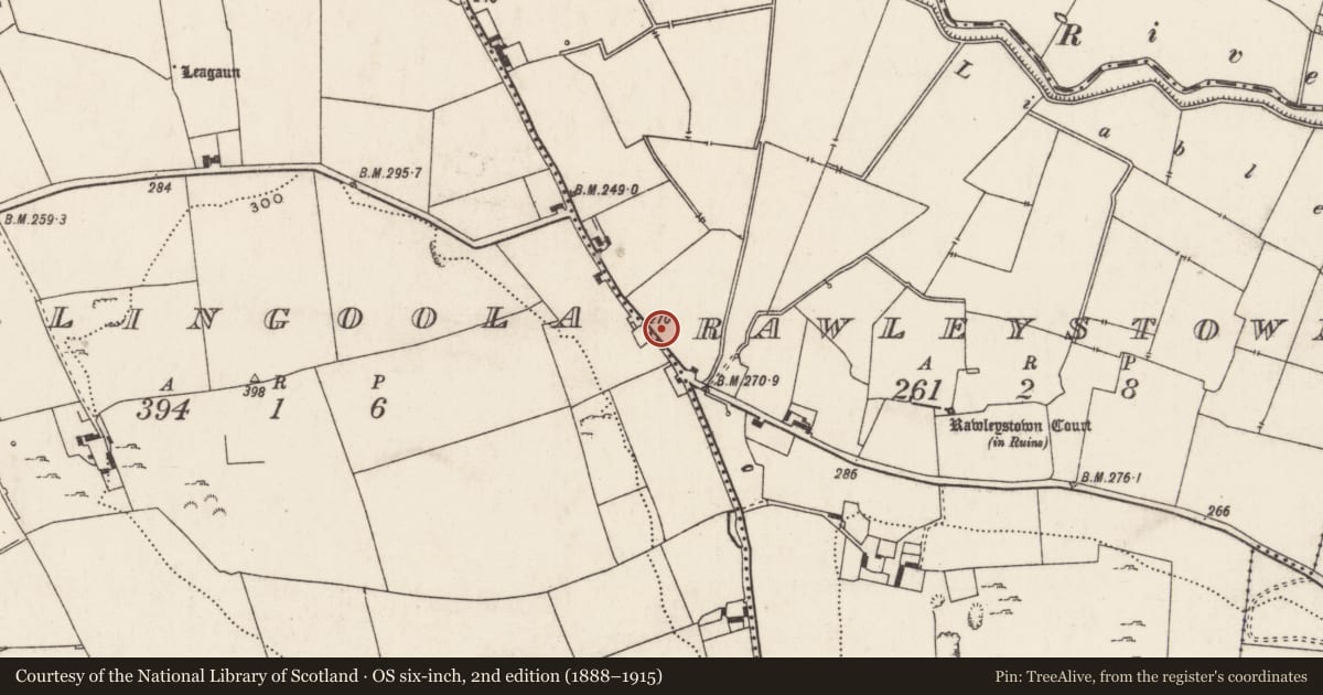 Ordnance Survey six-inch map, 2nd edition (1888–1915) covering the location of Enclosure, Rawleystown, County Limerick, with a pin at the register's coordinates