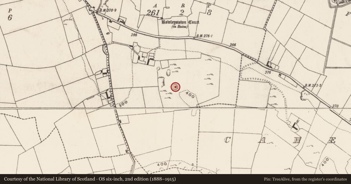 Ordnance Survey six-inch map, 2nd edition (1888–1915) covering the location of Ringfort - cashel, Rawleystown, County Limerick, with a pin at the register's coordinates