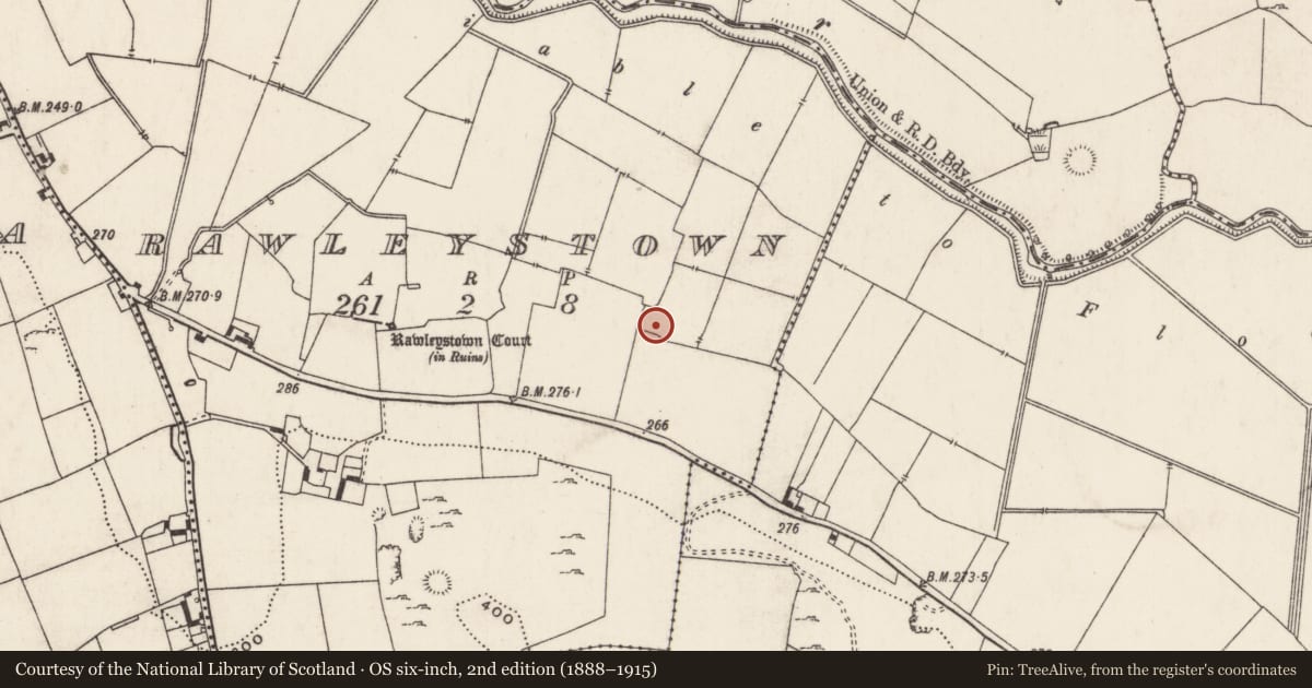 Ordnance Survey six-inch map, 2nd edition (1888–1915) covering the location of Enclosure, Rawleystown, County Limerick, with a pin at the register's coordinates