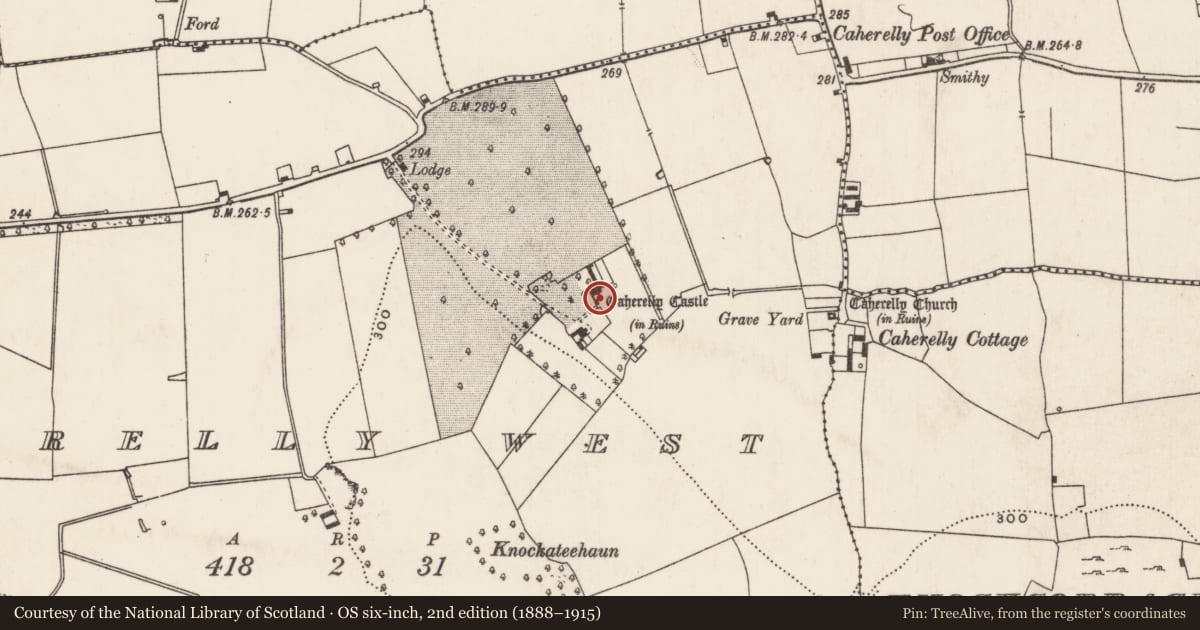 Ordnance Survey six-inch map, 2nd edition (1888–1915) covering the location of Castle - tower house, Caherelly West, County Limerick, with a pin at the register's coordinates