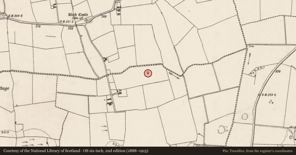 Ordnance Survey six-inch map, 2nd edition (1888–1915) covering the location of Mound, Ballysallagh, County Limerick, with a pin at the register's coordinates