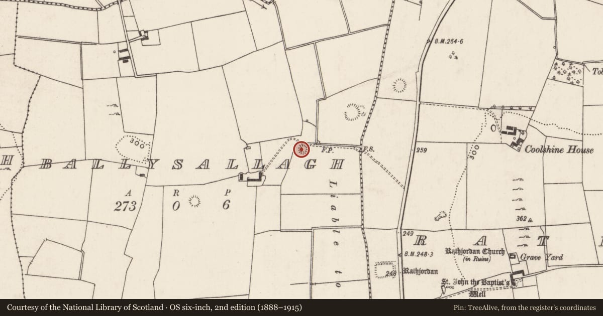 Ordnance Survey six-inch map, 2nd edition (1888–1915) covering the location of Enclosure, Ballysallagh, County Limerick, with a pin at the register's coordinates