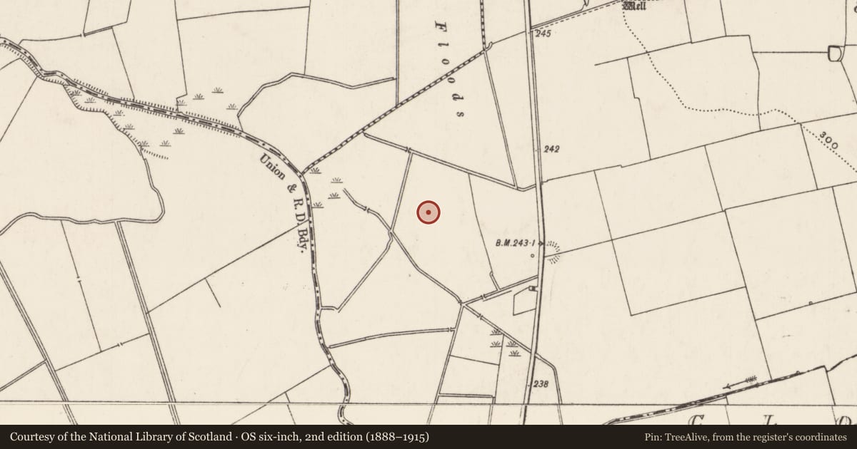 Ordnance Survey six-inch map, 2nd edition (1888–1915) covering the location of Barrow - ring-barrow, Rathjordan, County Limerick, with a pin at the register's coordinates