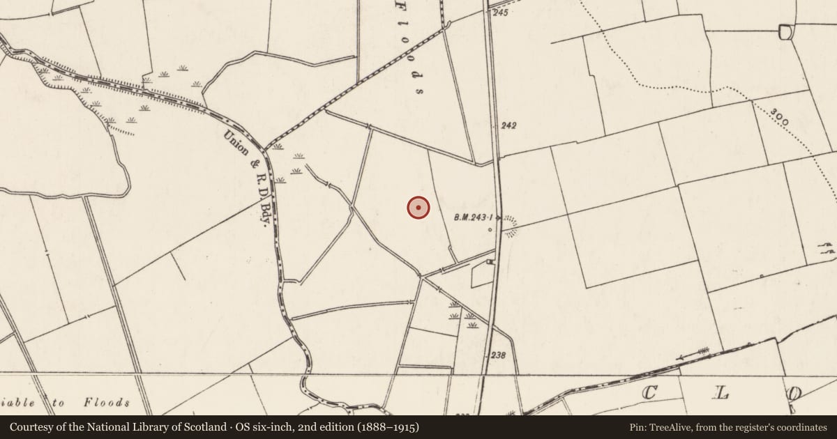 Ordnance Survey six-inch map, 2nd edition (1888–1915) covering the location of Barrow - ring-barrow, Rathjordan, County Limerick, with a pin at the register's coordinates