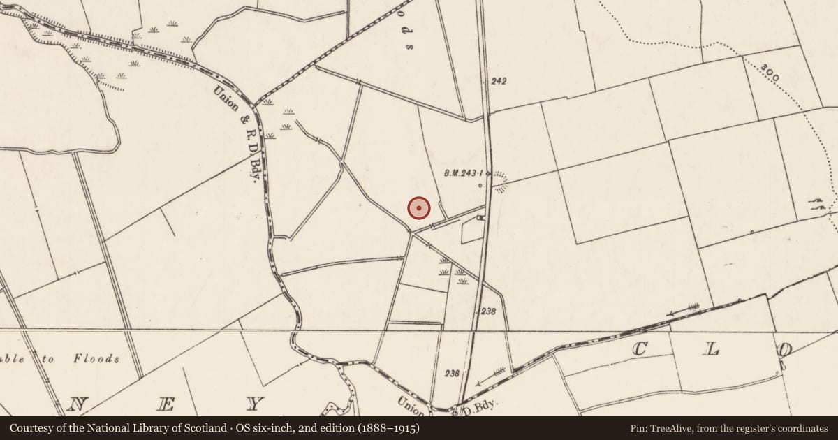 Ordnance Survey six-inch map, 2nd edition (1888–1915) covering the location of Barrow - ring-barrow, Rathjordan, County Limerick, with a pin at the register's coordinates