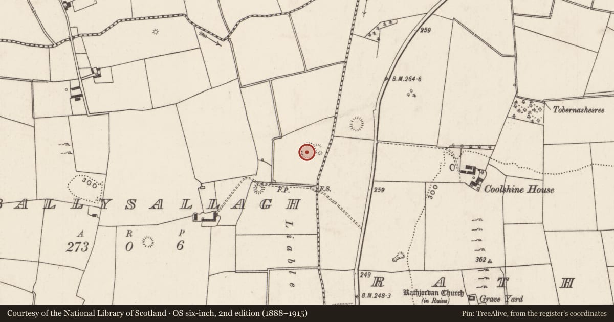 Ordnance Survey six-inch map, 2nd edition (1888–1915) covering the location of Enclosure, Ballysallagh, County Limerick, with a pin at the register's coordinates