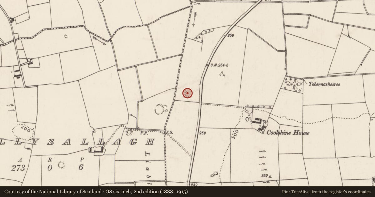 Ordnance Survey six-inch map, 2nd edition (1888–1915) covering the location of Ringfort - rath, Rathjordan, County Limerick, with a pin at the register's coordinates