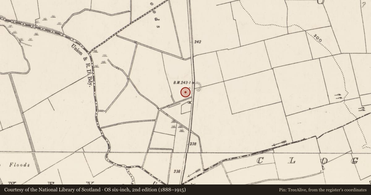 Ordnance Survey six-inch map, 2nd edition (1888–1915) covering the location of Crannog, Rathjordan, County Limerick, with a pin at the register's coordinates