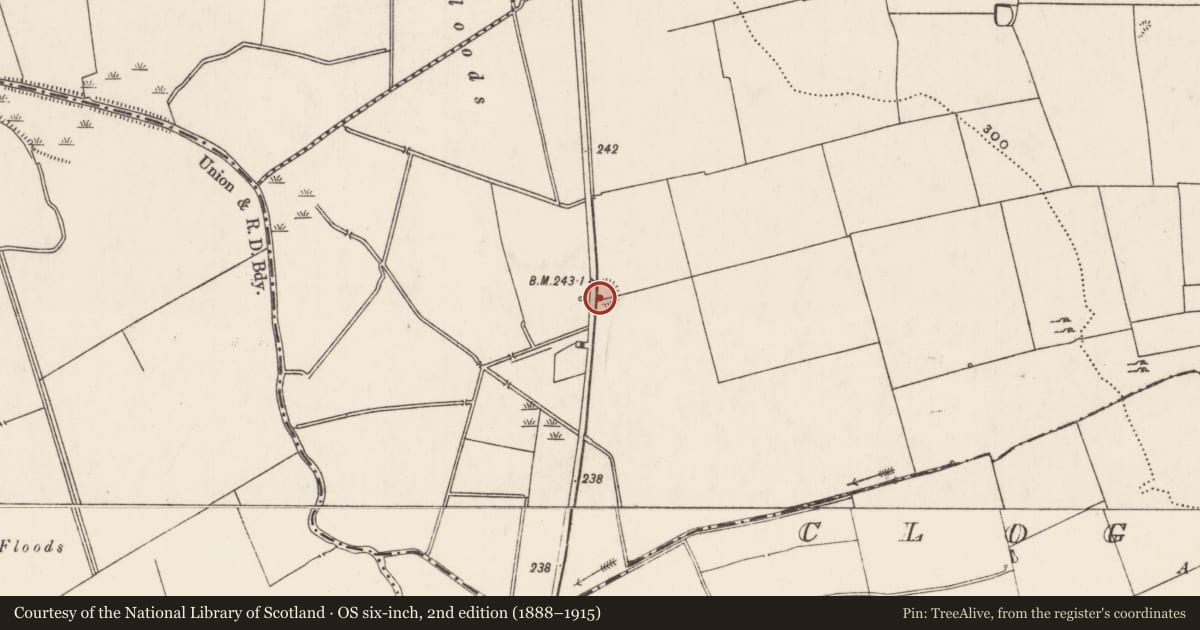 Ordnance Survey six-inch map, 2nd edition (1888–1915) covering the location of Ringfort - rath, Rathjordan, County Limerick, with a pin at the register's coordinates