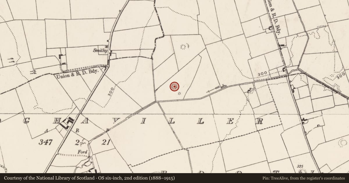 Ordnance Survey six-inch map, 2nd edition (1888–1915) covering the location of Enclosure, Cloghaviller, County Limerick, with a pin at the register's coordinates