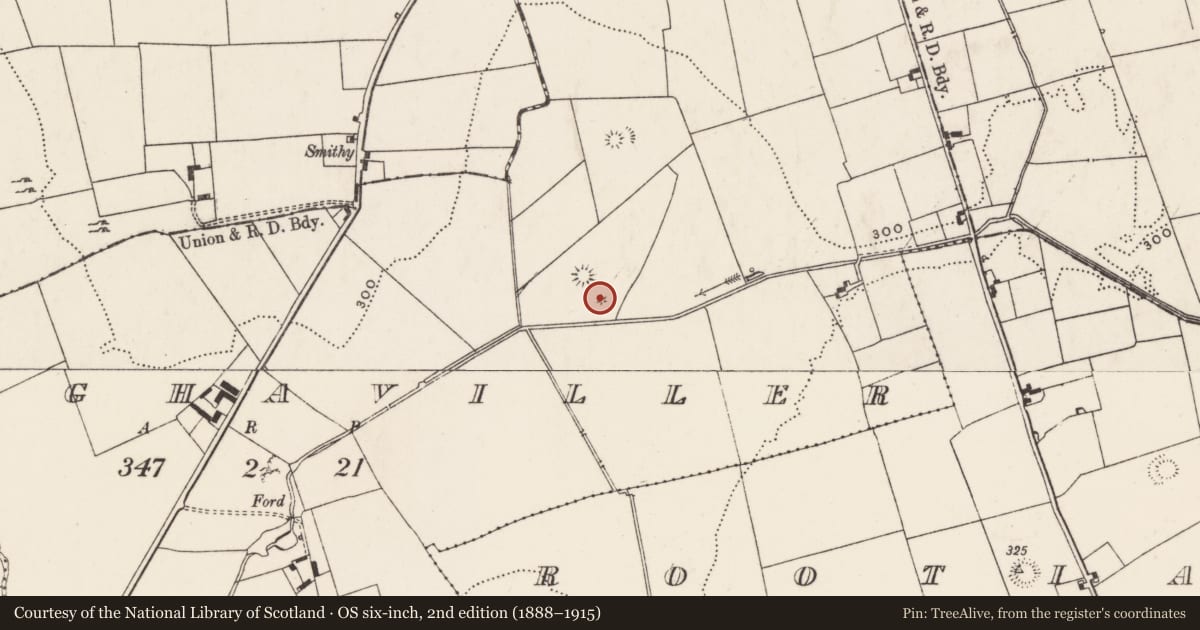 Ordnance Survey six-inch map, 2nd edition (1888–1915) covering the location of Barrow - ring-barrow, Cloghaviller, County Limerick, with a pin at the register's coordinates