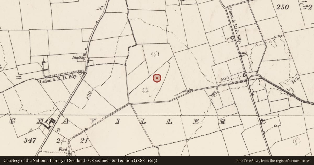 Ordnance Survey six-inch map, 2nd edition (1888–1915) covering the location of Barrow - ring-barrow, Cloghaviller, County Limerick, with a pin at the register's coordinates