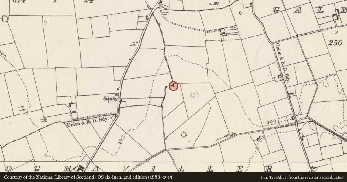 Ordnance Survey six-inch map, 2nd edition (1888–1915) covering the location of Barrow - ring-barrow, Cloghaviller, County Limerick, with a pin at the register's coordinates
