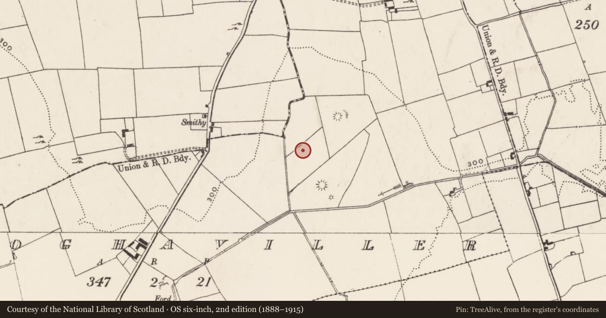 Ordnance Survey six-inch map, 2nd edition (1888–1915) covering the location of Enclosure, Cloghaviller, County Limerick, with a pin at the register's coordinates
