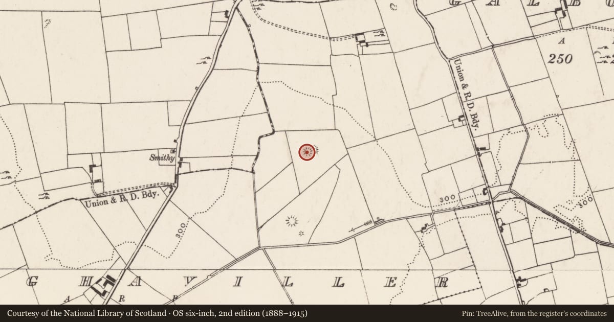 Ordnance Survey six-inch map, 2nd edition (1888–1915) covering the location of Barrow - unclassified, Cloghaviller, County Limerick, with a pin at the register's coordinates