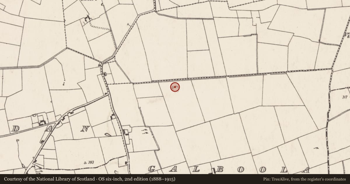 Ordnance Survey six-inch map, 2nd edition (1888–1915) covering the location of Ringfort - rath, Galboola, County Limerick, with a pin at the register's coordinates