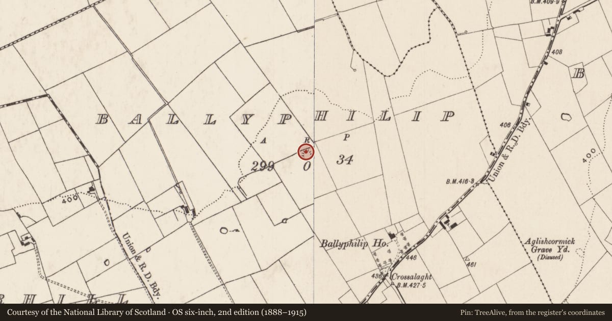 Ordnance Survey six-inch map, 2nd edition (1888–1915) covering the location of Ringfort - rath, Ballyphilip, County Limerick, with a pin at the register's coordinates