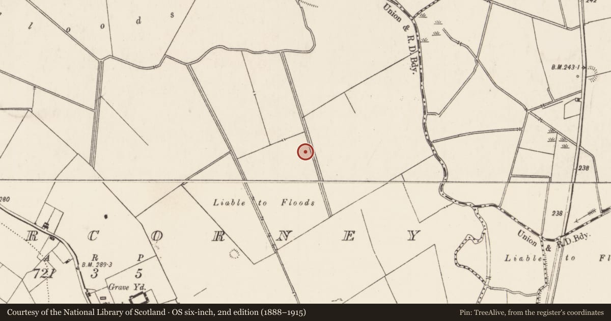 Ordnance Survey six-inch map, 2nd edition (1888–1915) covering the location of Barrow - ring-barrow, Cahercorney, County Limerick, with a pin at the register's coordinates