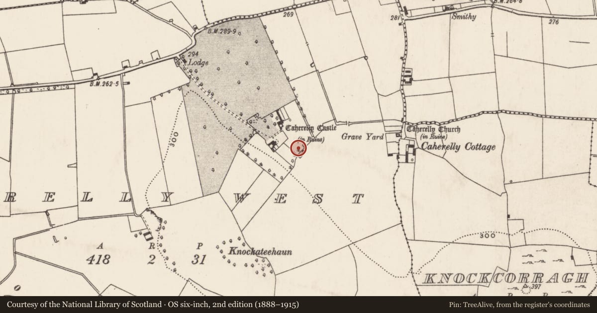 Ordnance Survey six-inch map, 2nd edition (1888–1915) covering the location of Barrow - ring-barrow, Caherelly West, County Limerick, with a pin at the register's coordinates