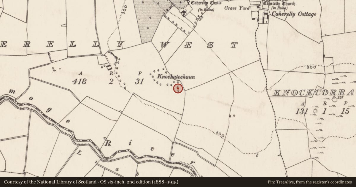 Ordnance Survey six-inch map, 2nd edition (1888–1915) covering the location of Mound, Caherelly West, County Limerick, with a pin at the register's coordinates