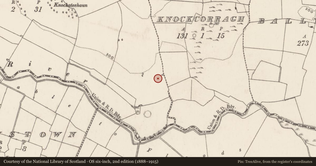 Ordnance Survey six-inch map, 2nd edition (1888–1915) covering the location of Standing stone, Caherelly West, County Limerick, with a pin at the register's coordinates