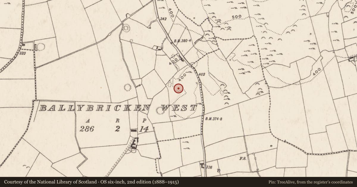 Ordnance Survey six-inch map, 2nd edition (1888–1915) covering the location of Standing stone, Ballybricken West, County Limerick, with a pin at the register's coordinates