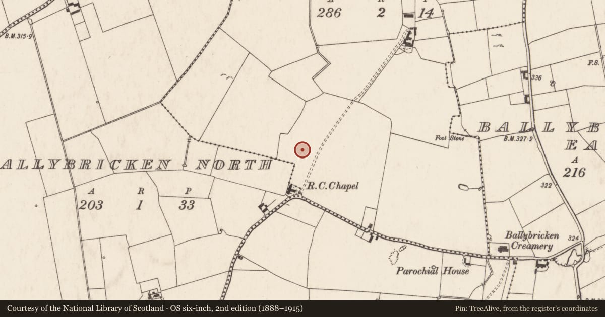 Ordnance Survey six-inch map, 2nd edition (1888–1915) covering the location of Standing stone, Ballybricken West, County Limerick, with a pin at the register's coordinates