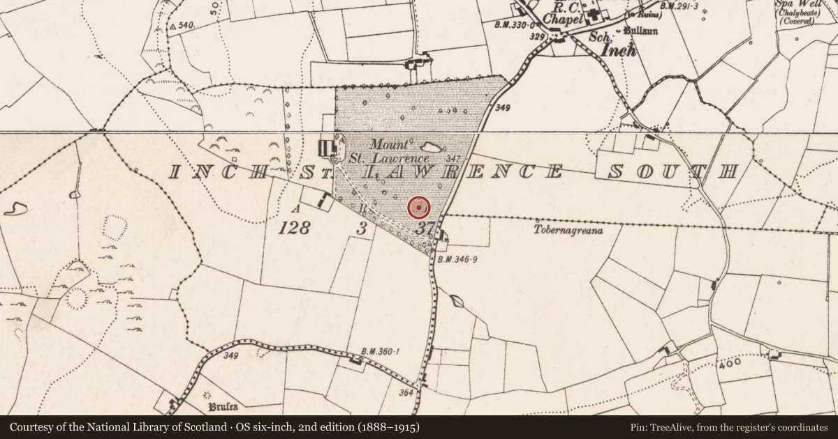 Ordnance Survey six-inch map, 2nd edition (1888–1915) covering the location of Standing stone, Inch St. Lawrence South, County Limerick, with a pin at the register's coordinates