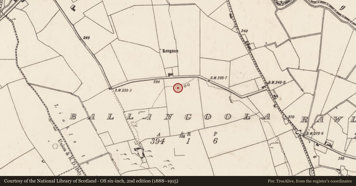 Ordnance Survey six-inch map, 2nd edition (1888–1915) covering the location of Road - road/trackway, Ballingoola, County Limerick, with a pin at the register's coordinates