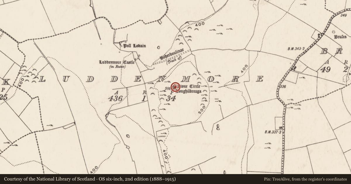 Ordnance Survey six-inch map, 2nd edition (1888–1915) covering the location of Standing stone, Ludden More, County Limerick, with a pin at the register's coordinates