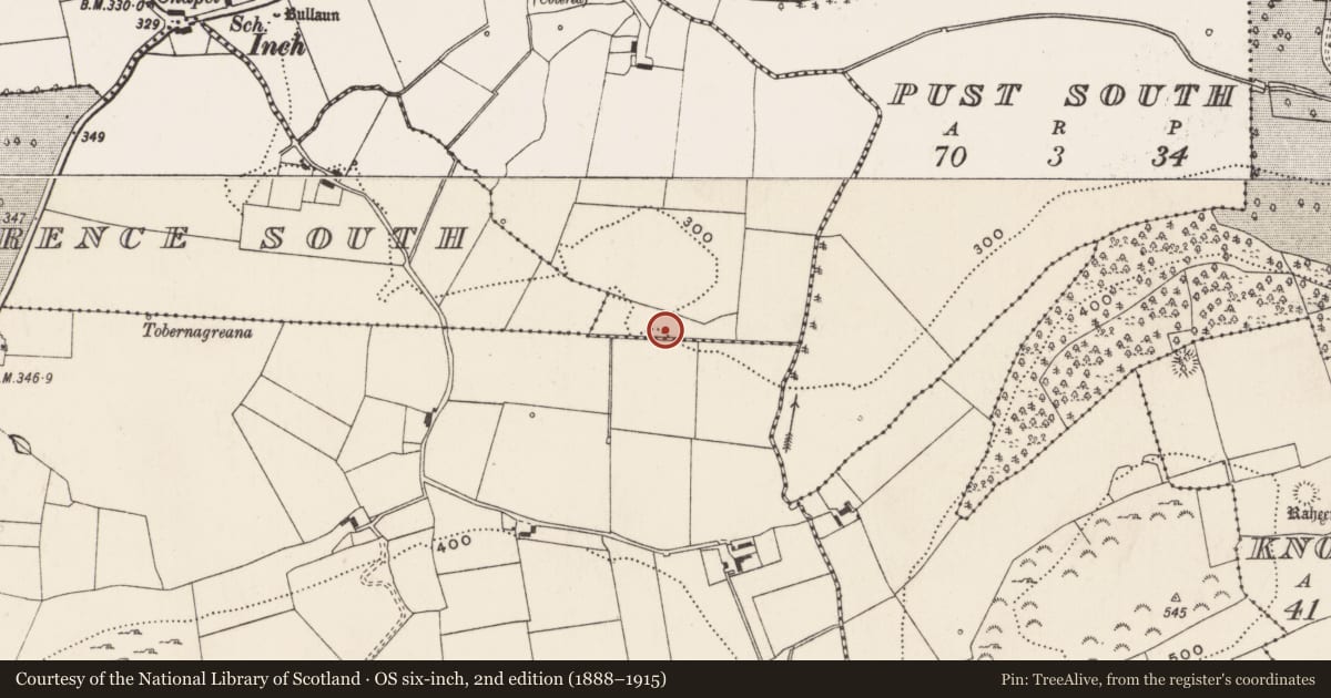 Ordnance Survey six-inch map, 2nd edition (1888–1915) covering the location of Enclosure, Knockroe (Mason), Inch St. Lawrence North, County Limerick, with a pin at the register's coordinates