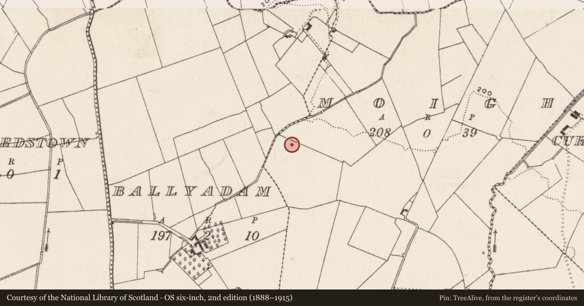 Ordnance Survey six-inch map, 2nd edition (1888–1915) covering the location of Enclosure, Moigh, County Limerick, with a pin at the register's coordinates