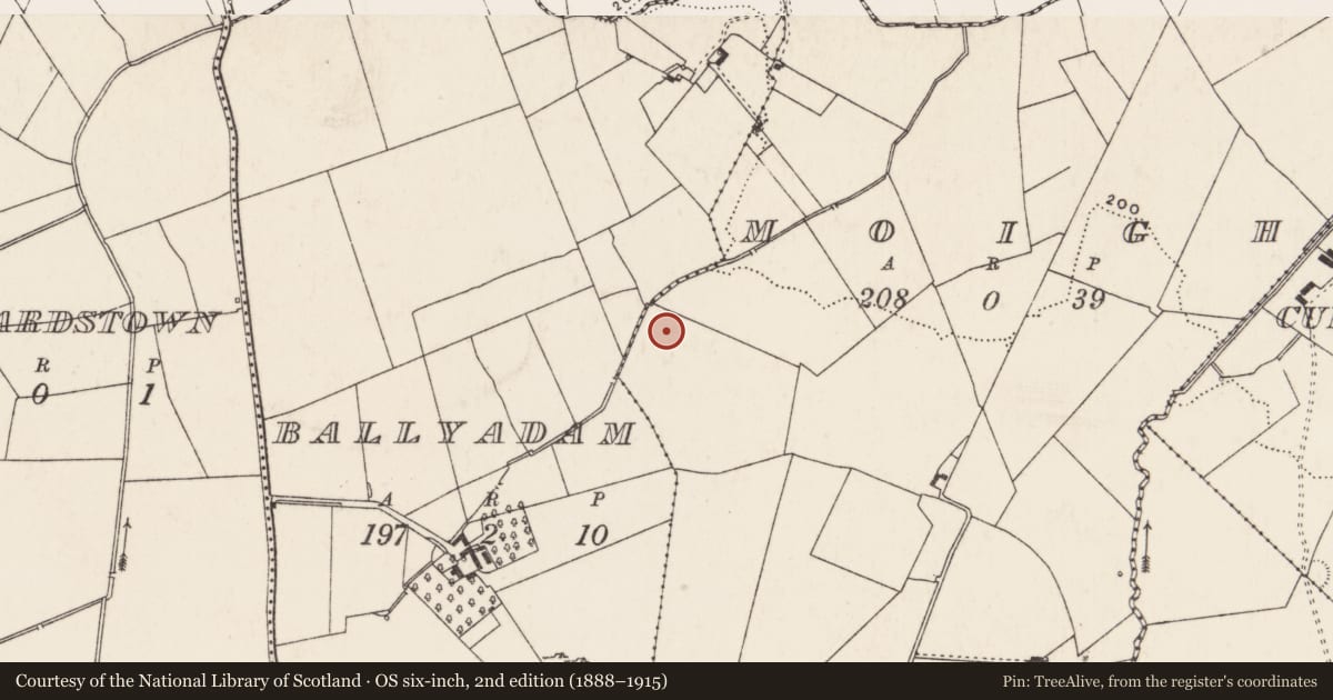 Ordnance Survey six-inch map, 2nd edition (1888–1915) covering the location of Enclosure, Moigh, County Limerick, with a pin at the register's coordinates
