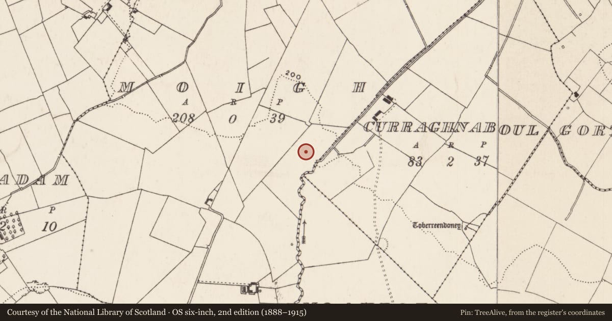 Ordnance Survey six-inch map, 2nd edition (1888–1915) covering the location of Enclosure, Moigh, County Limerick, with a pin at the register's coordinates