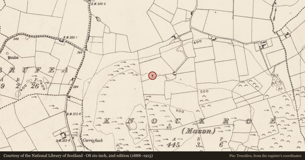 Ordnance Survey six-inch map, 2nd edition (1888–1915) covering the location of Enclosure, Knockroe (Mason), County Limerick, with a pin at the register's coordinates
