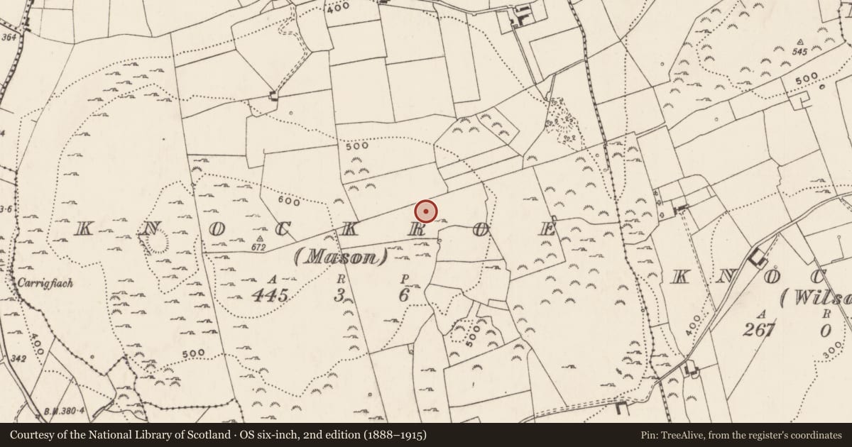 Ordnance Survey six-inch map, 2nd edition (1888–1915) covering the location of Enclosure, Knockroe (Mason), County Limerick, with a pin at the register's coordinates